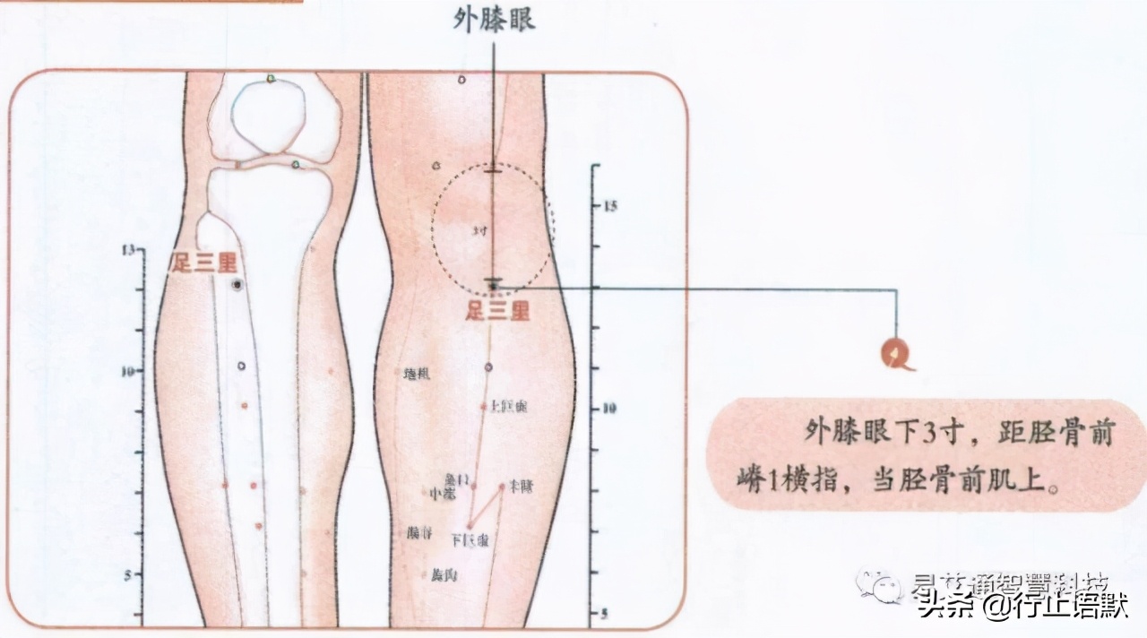 儿童手部湿疹艾灸取穴,穴位治湿疹最有效的方法