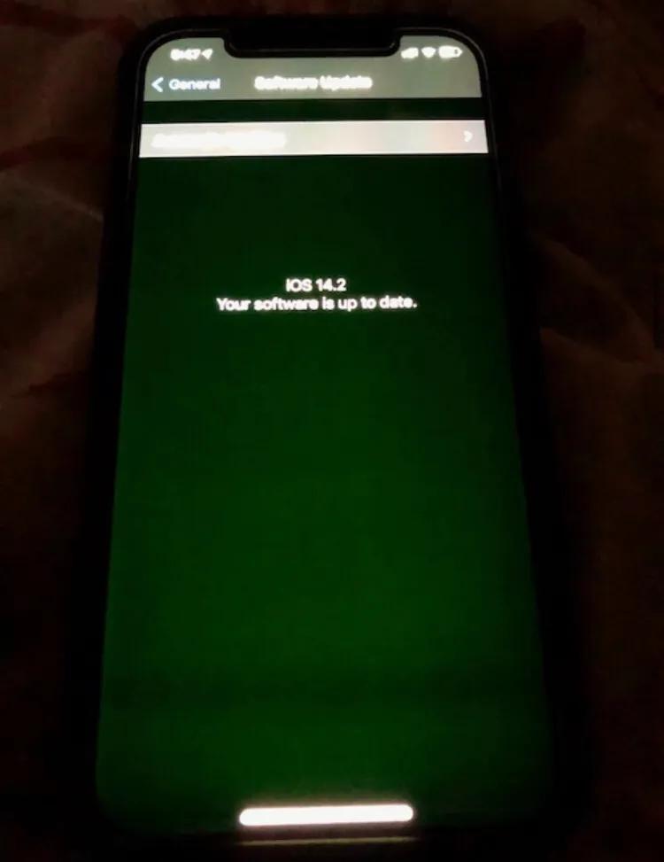 ios14.5正式版推送时间修复绿屏,ios14.2beta提示更新