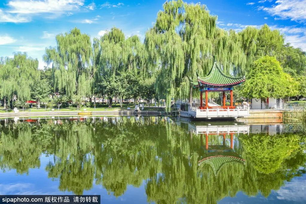 绿皮火车公园打卡景点,各种各样的免费公园