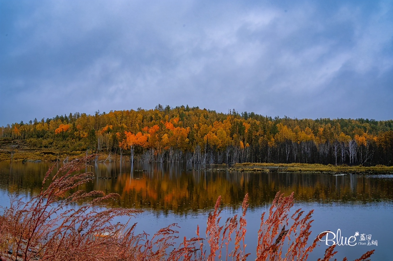 从漠河自驾到抚远镇,漠河至丹东自驾g331攻略