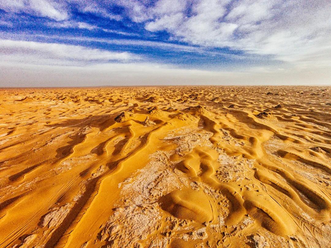 尼雅五星东方口碑,尼雅五星东方赤霞珠干红葡萄酒