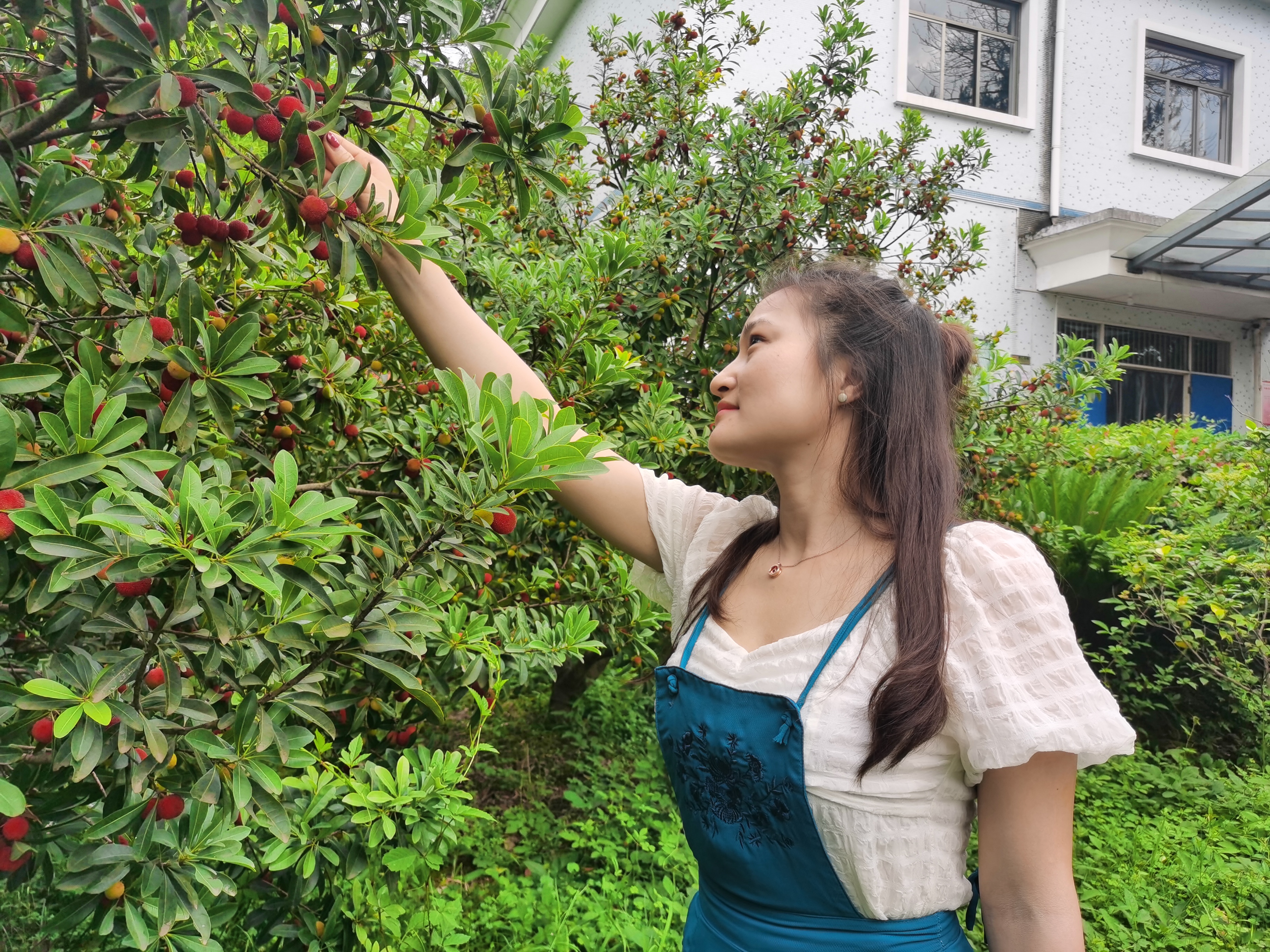 修竹万竿,修竹万竿松影乱