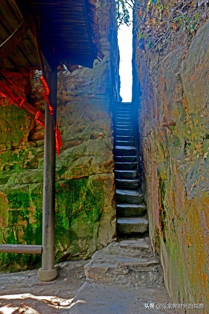 张家界森林公园亲子游攻略,张家界旅游攻略现在张家界气温