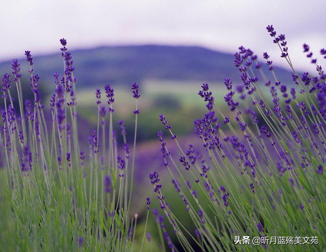 一根烟一杯酒一转身一辈子,一转身一辈子便是永远