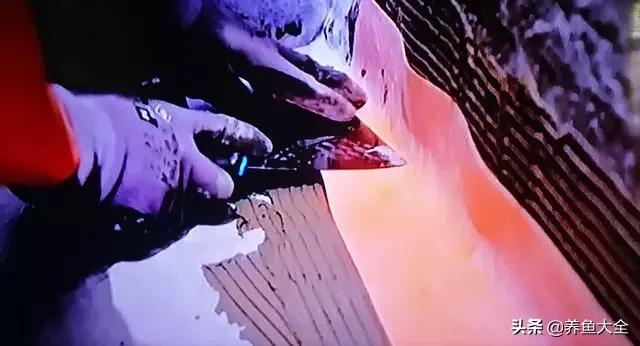 建一个锦鲤池要多少钱,园林锦鲤池建造