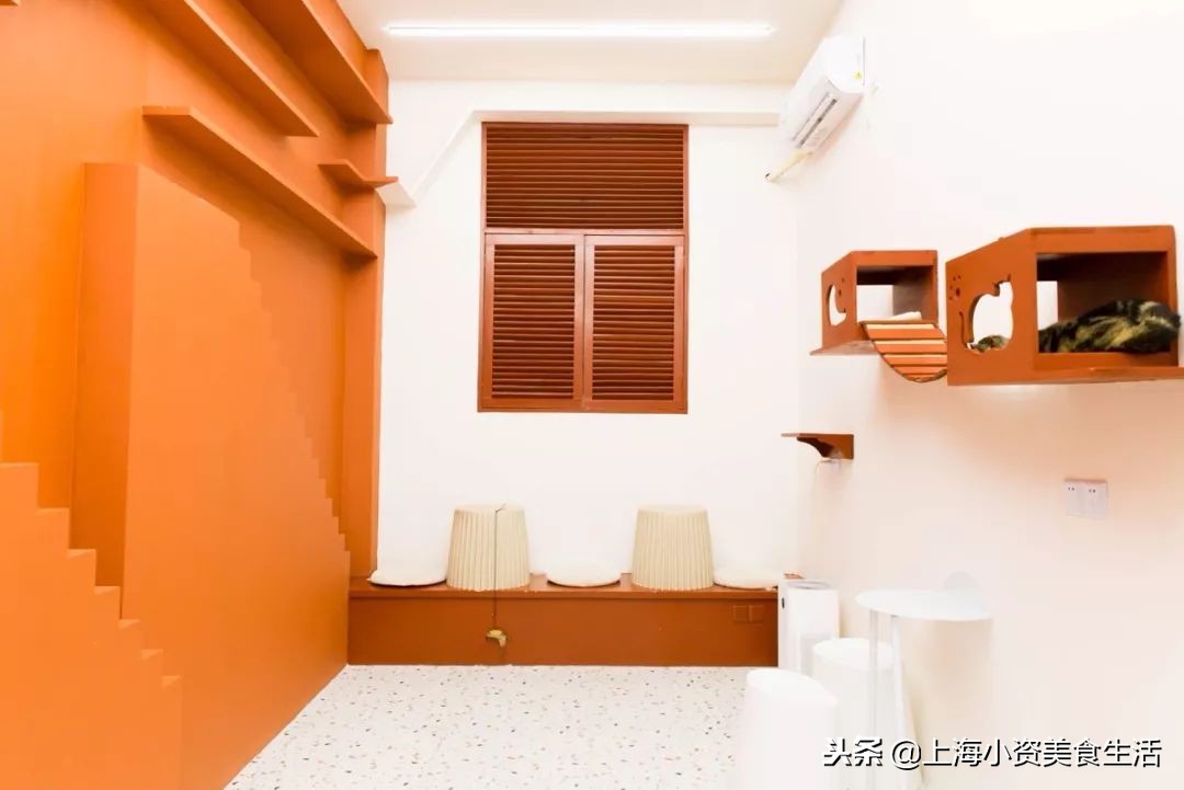 杩涘叆绾康纰戝康纰戣胺,杩涘叆绾康纰戣胺