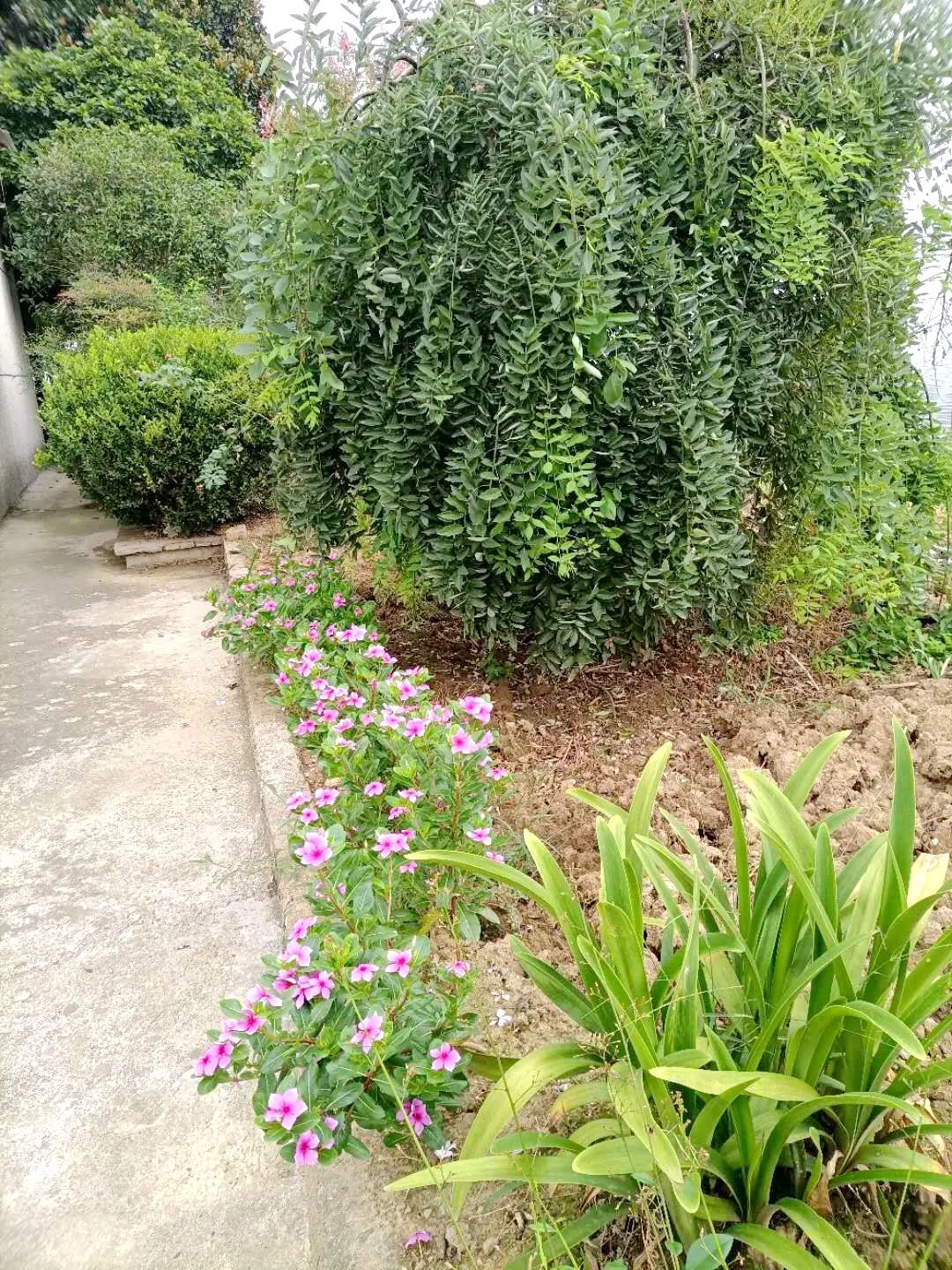 风景好的地方江阴,江阴好风景