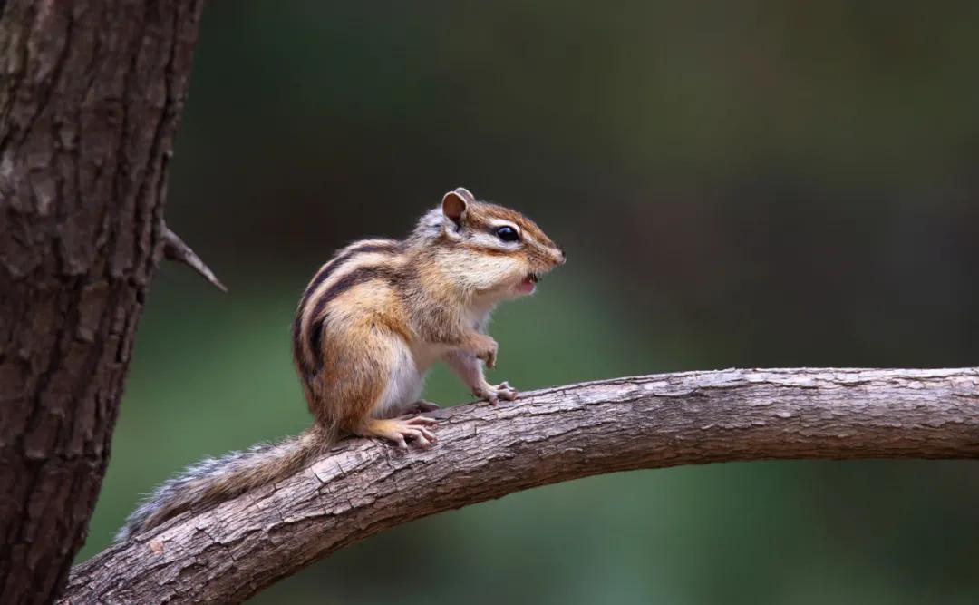延边大学2020级新生开始报到,延边大学让家长送大一新生进学校