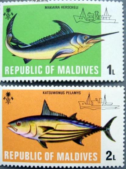 马尔代夫有什么特产值得带,马尔代夫旅游性价比高的岛