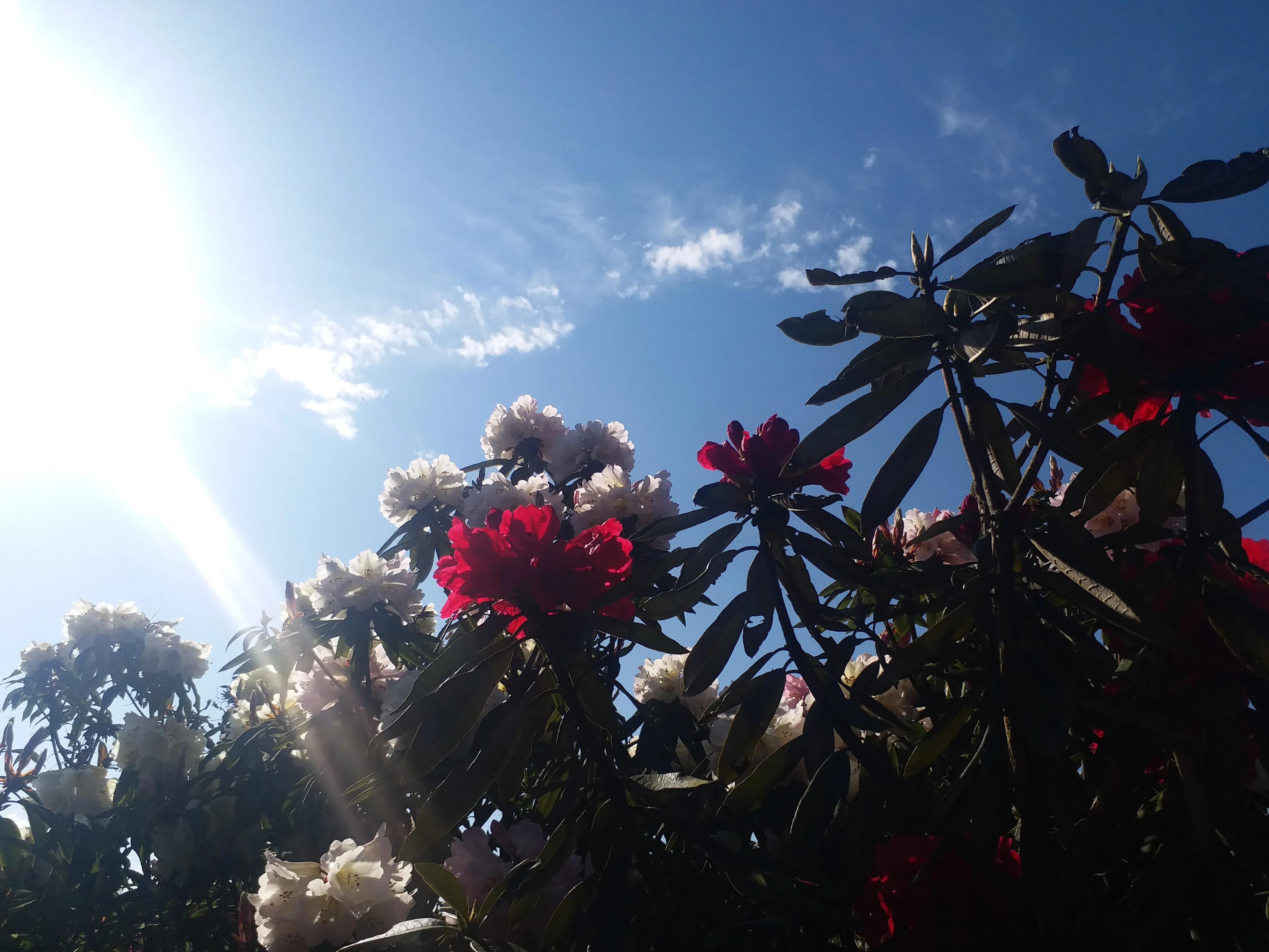 毕节五日游,贵州毕节五日游攻略