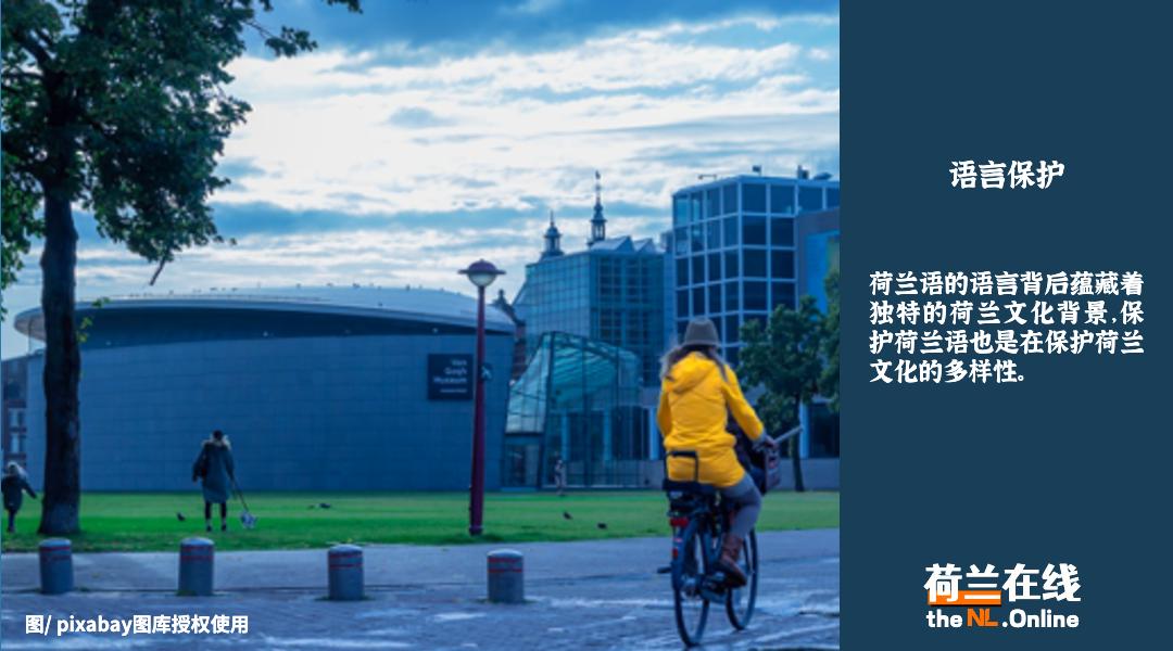 荷兰语到底有什么难,荷兰人说荷兰语吗怎么说