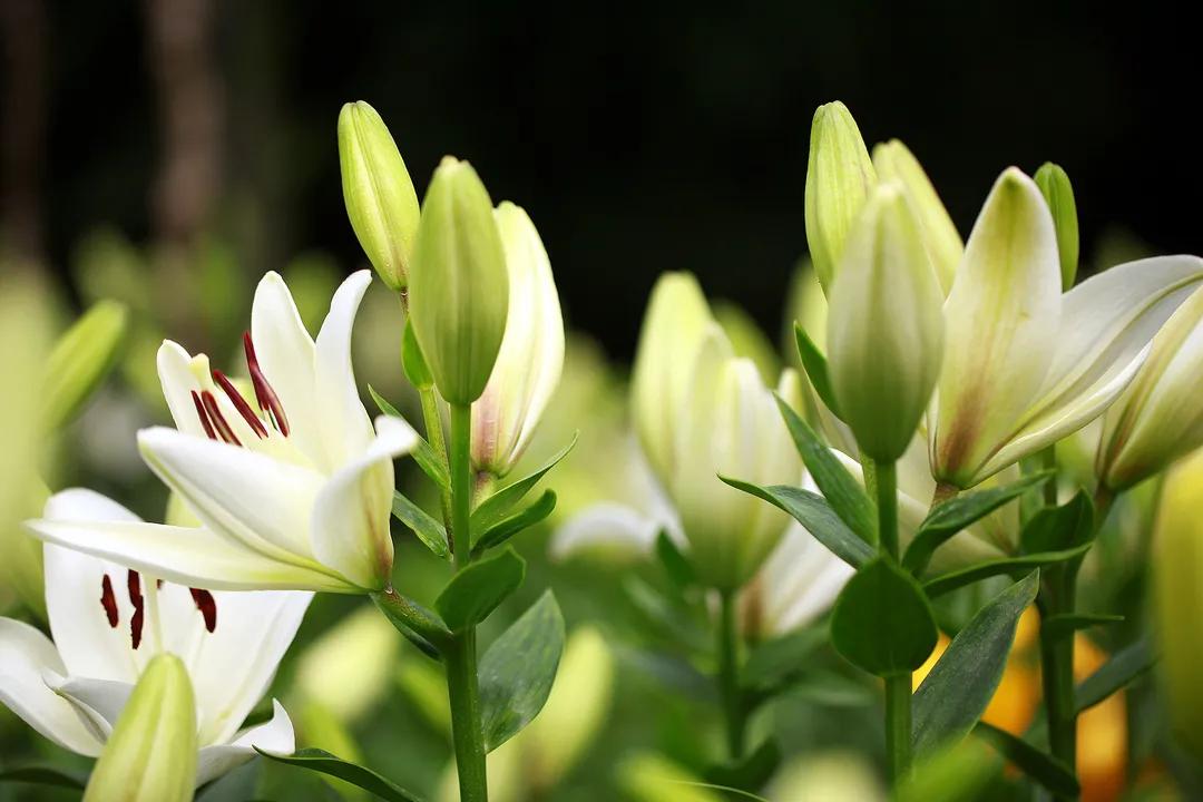 在济南花式避暑，一见“清”心！只需一瞥，便足以把酷夏原谅…