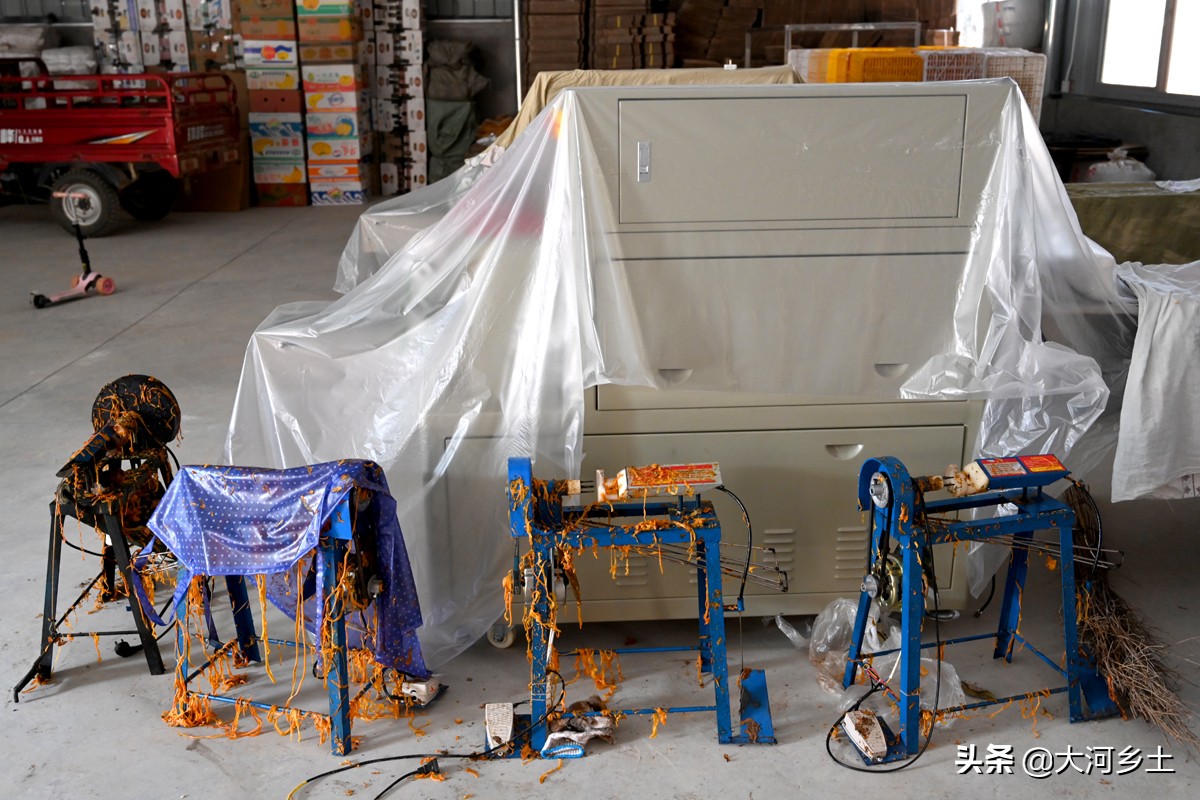 儿子从大企业辞职回乡卖“金饼”,父亲脸上笑开花:一年挣几十万