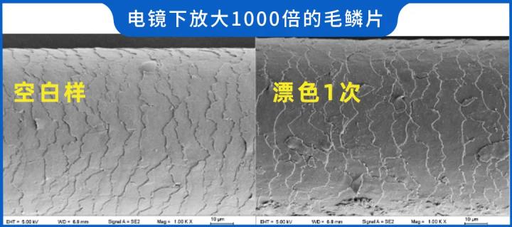 染发剂是否致癌的文章,染发剂真的健康么