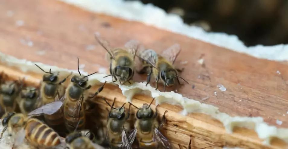别人创业,创业该怎么做才能成功