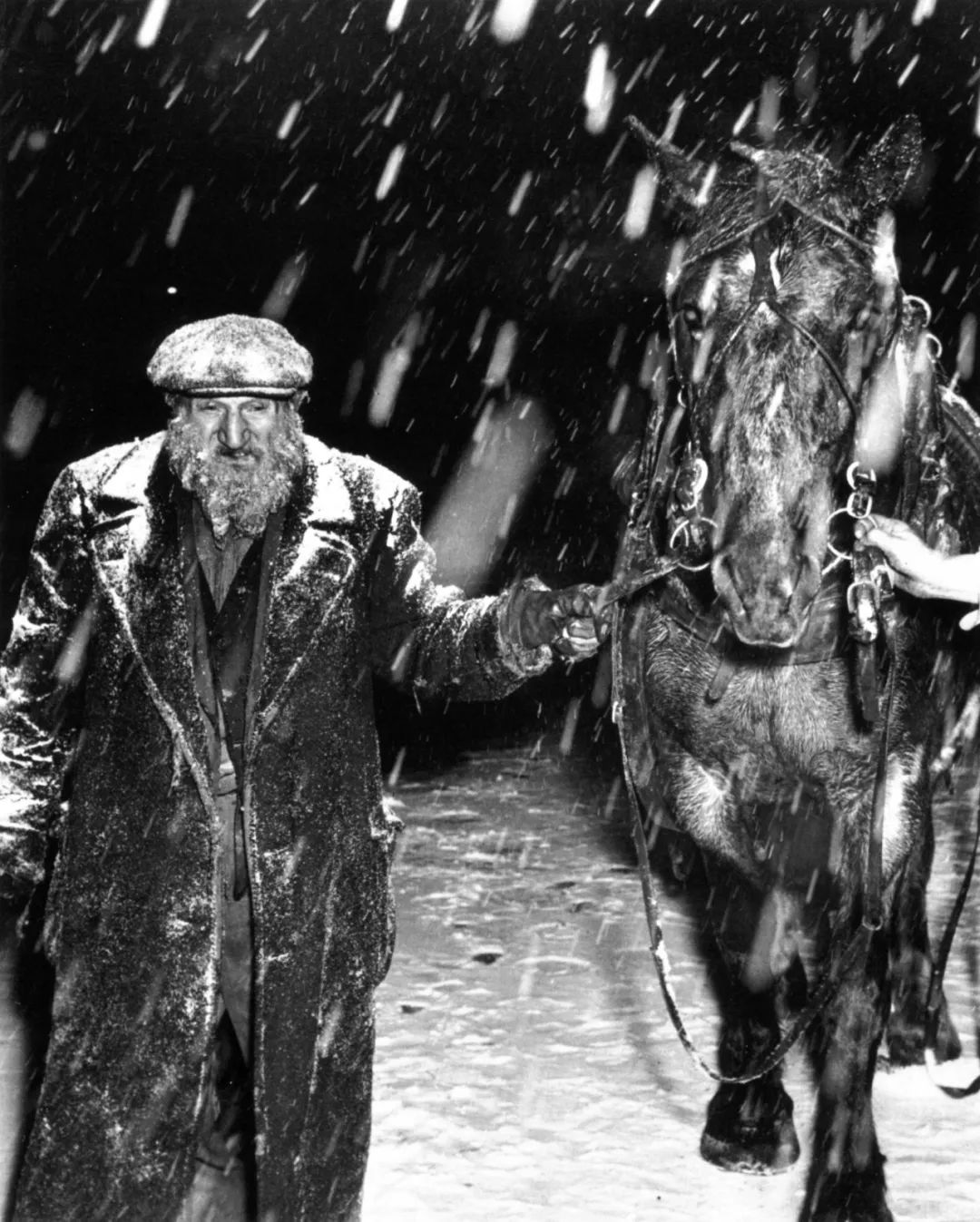 复旦学生点评复旦教授,上海复旦大学教授怎么样了