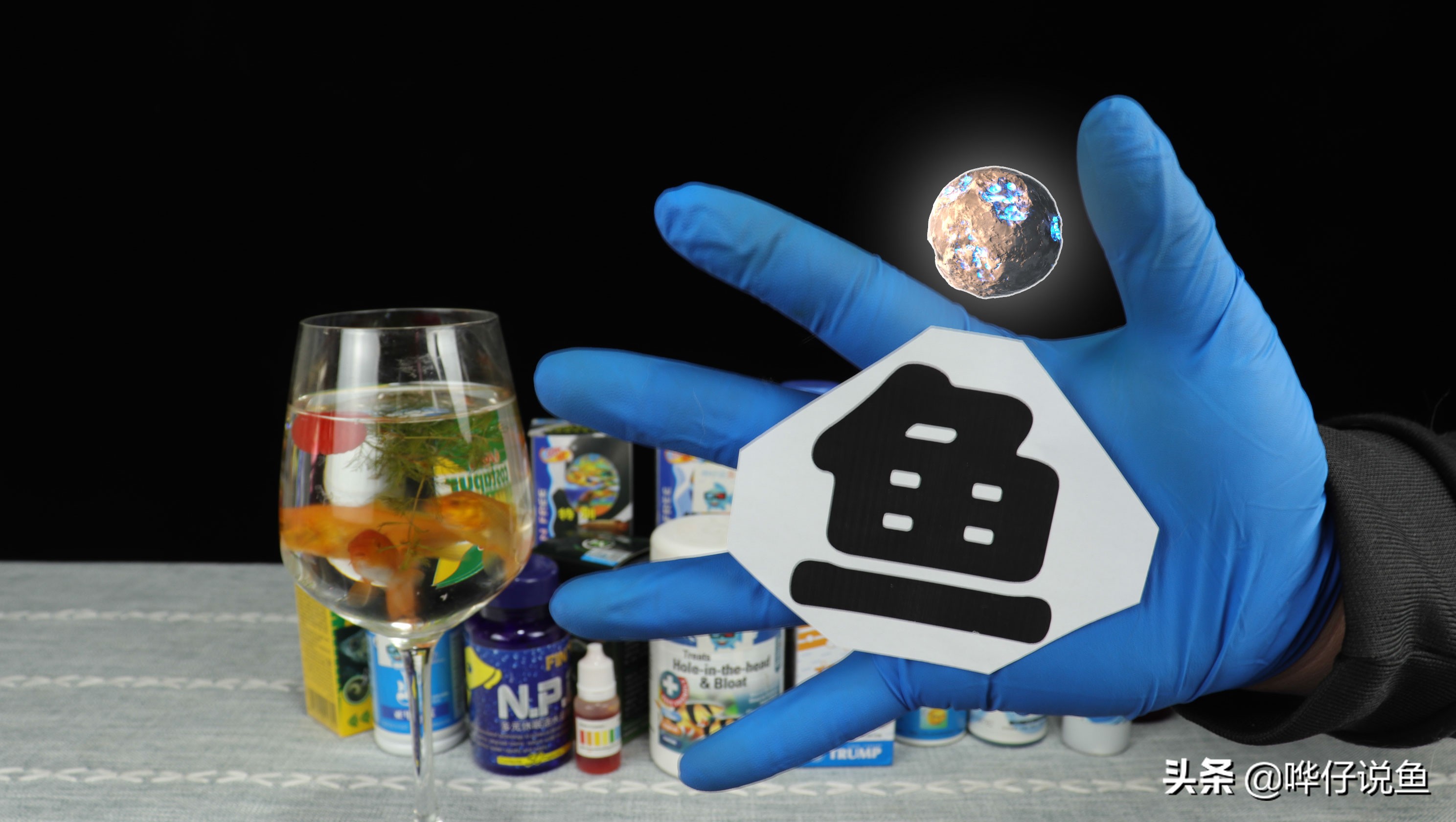 如何判断鱼缸水质的好坏,鱼缸水质怎么看好坏