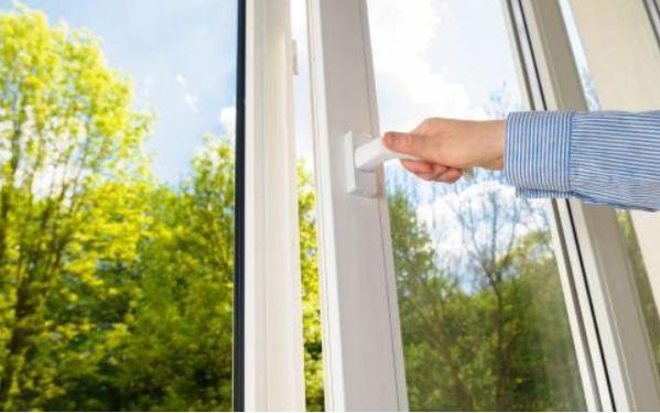 猫咪清凉一夏剃毛视频,夏季猫咪养护方法有哪些