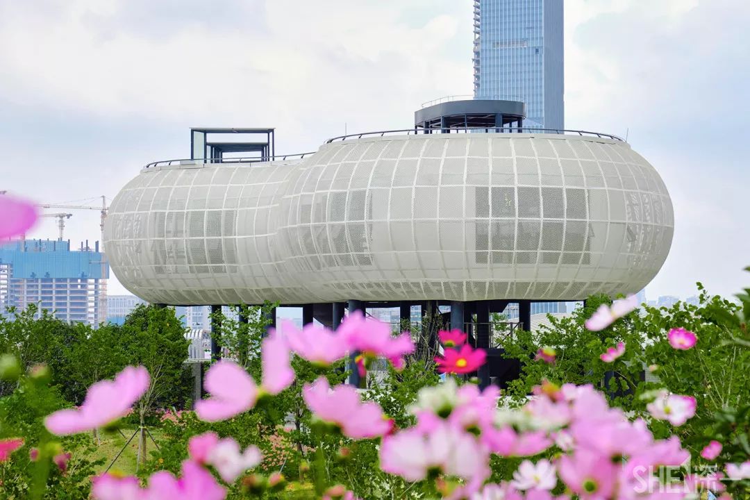 龙华新公园在哪里,深圳龙华区免费的公园