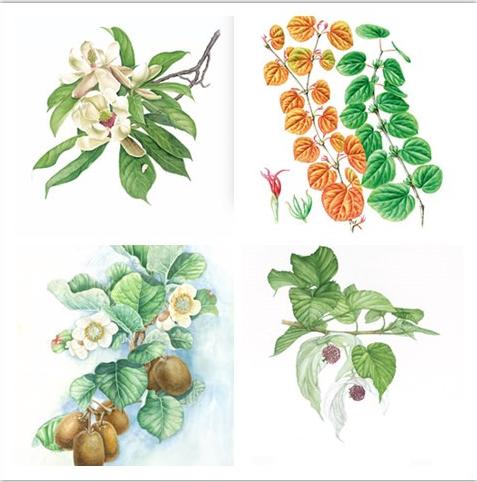 端午节武汉去处 (武汉端午节小长假去哪玩)