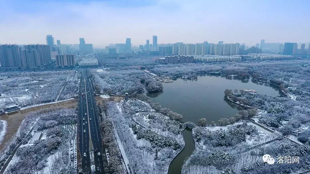 洛阳向全球推介,洛阳向世界发出邀请