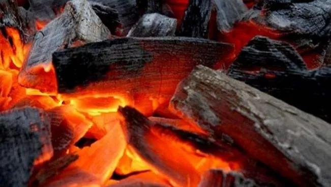 机制炭炉和果木炭炉有什么区别,机制炭和果木炭哪个烧烤更好