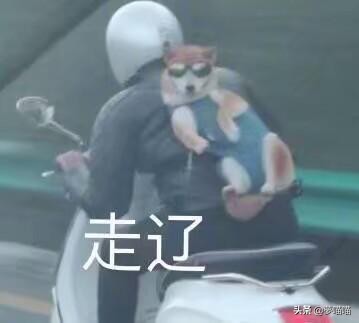 最新版本魔域怎么挣魔石,魔域手游攻略金币怎么赚