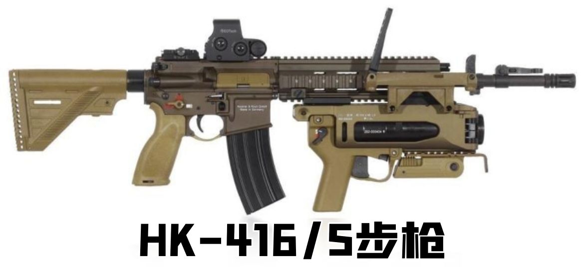 英国枪史图册全篇,德国枪图片