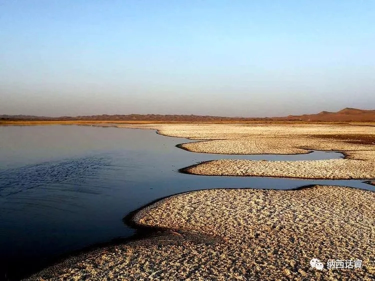 叶紫被雷劈穿越到异界,关于叶紫的穿越小说