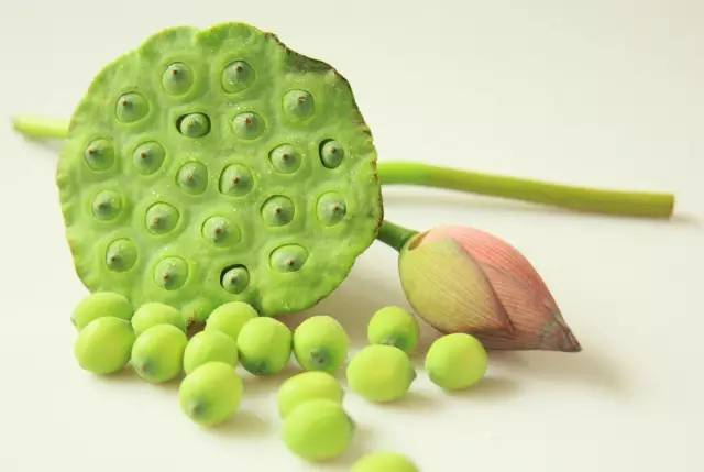 村居古诗词赏析,清平乐村居诗词翻译欣赏