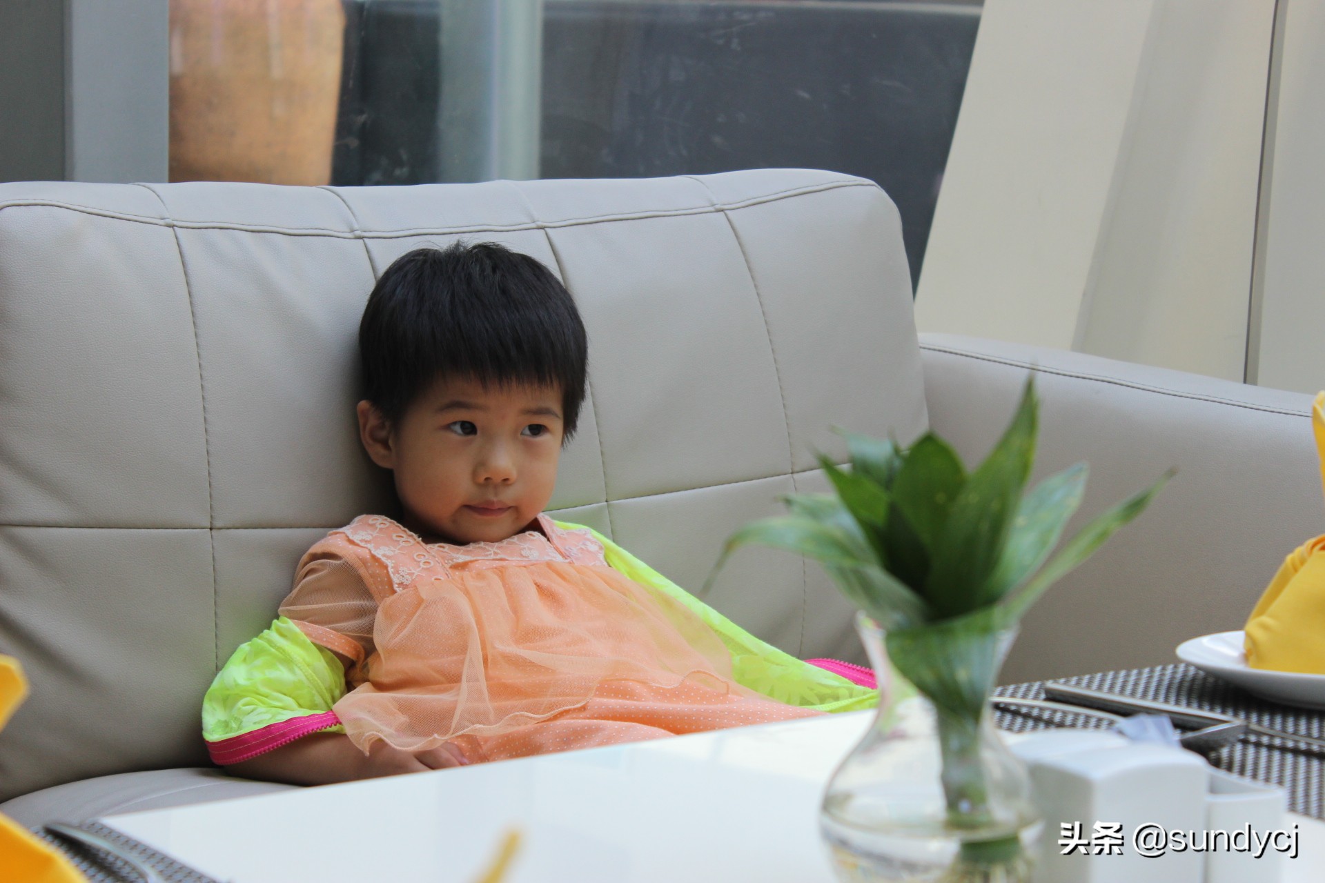 小奔奔,长安新能源奔奔自驾游西藏