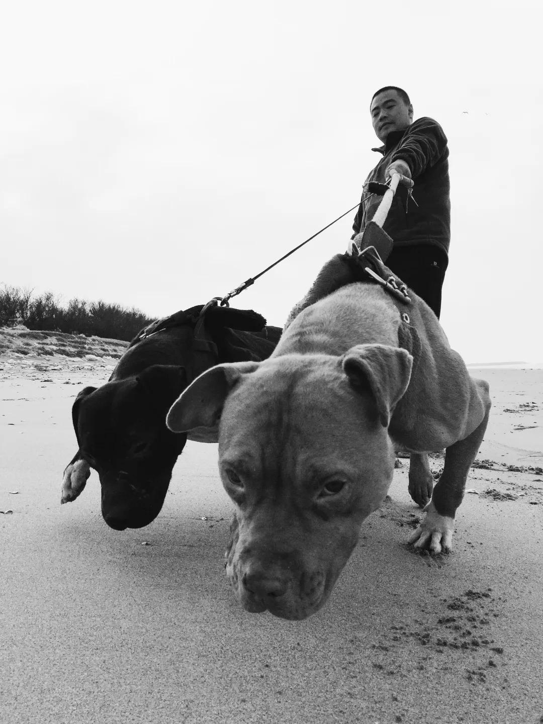 iPhone相机操作技巧,iphone相机操作指南3.0