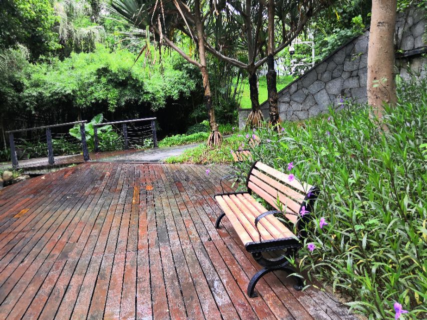 深圳市南山荔枝公园,深圳荔枝公园好看吗