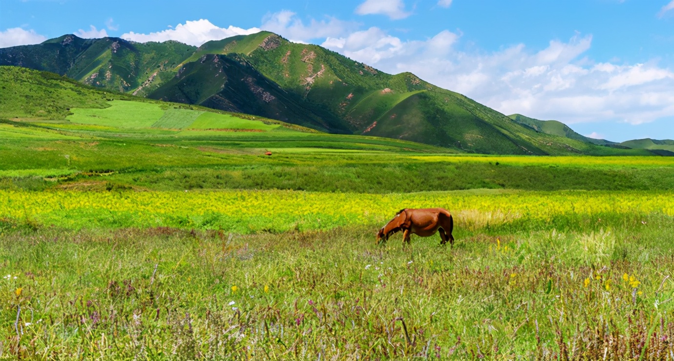 甘青大环线和小环线的区别,用一句话总结甘青环线旅游线路