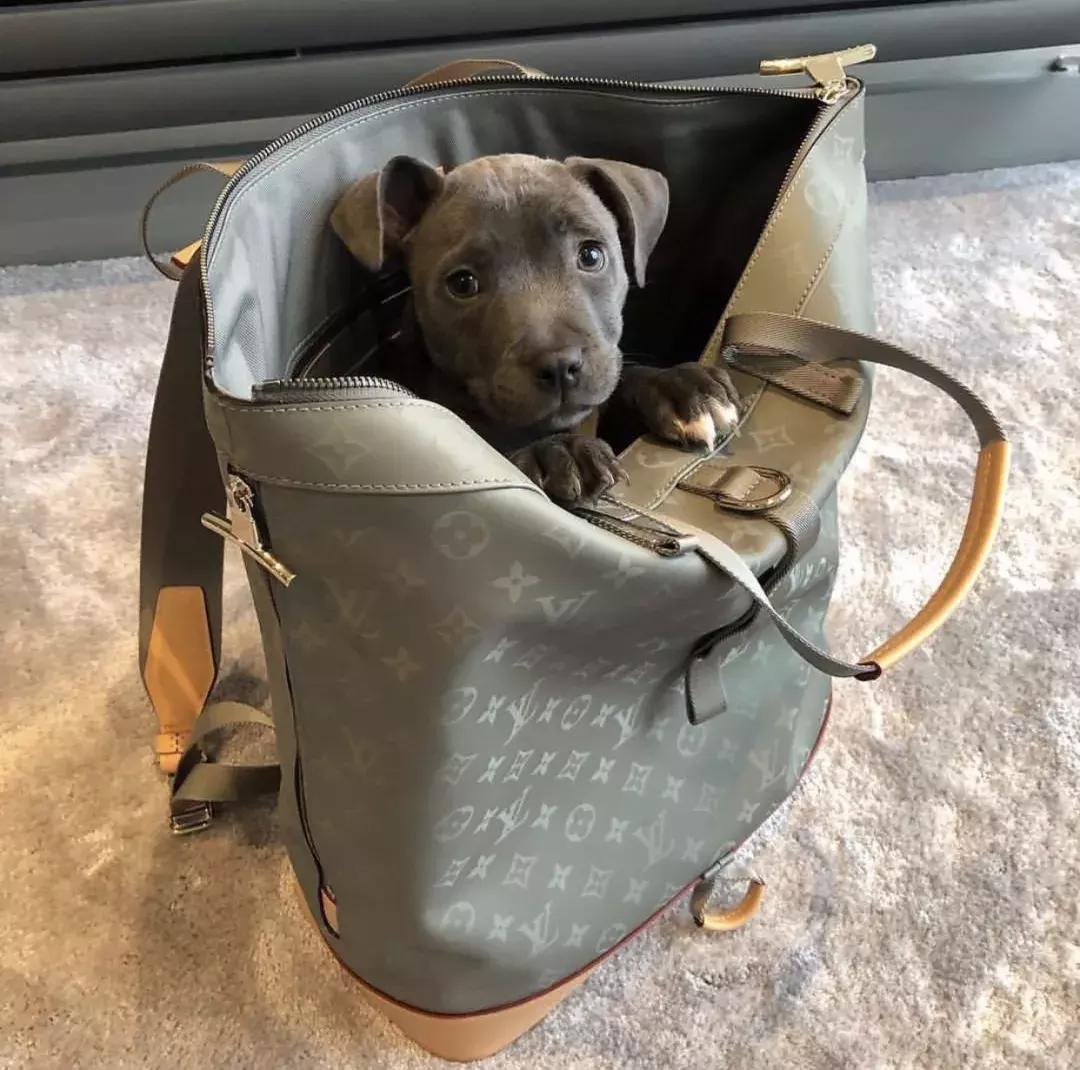 2020最火的男士包guccilv,gucci和lv包包入门款