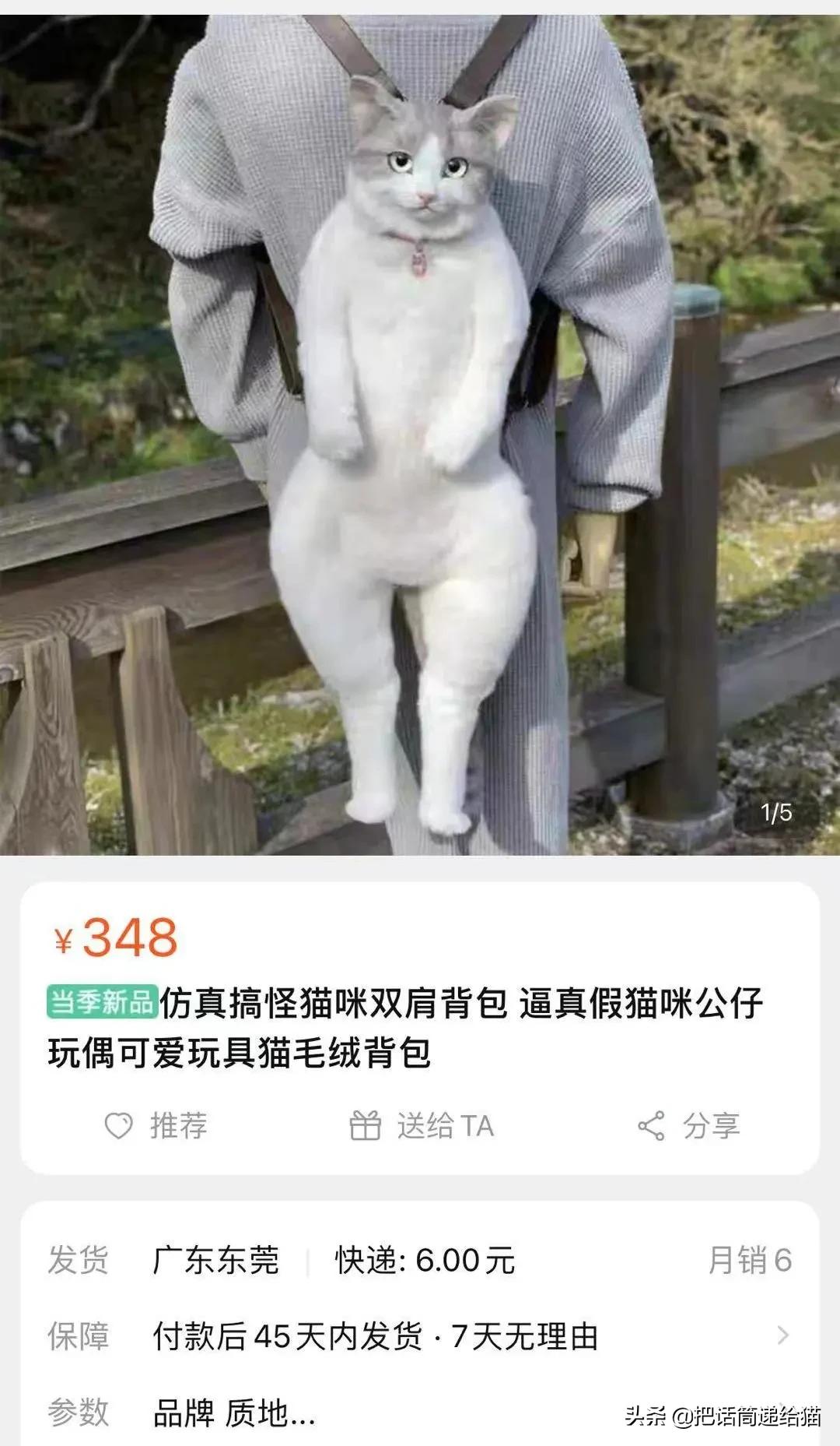 日本网红猫包,日本网红猫咪包