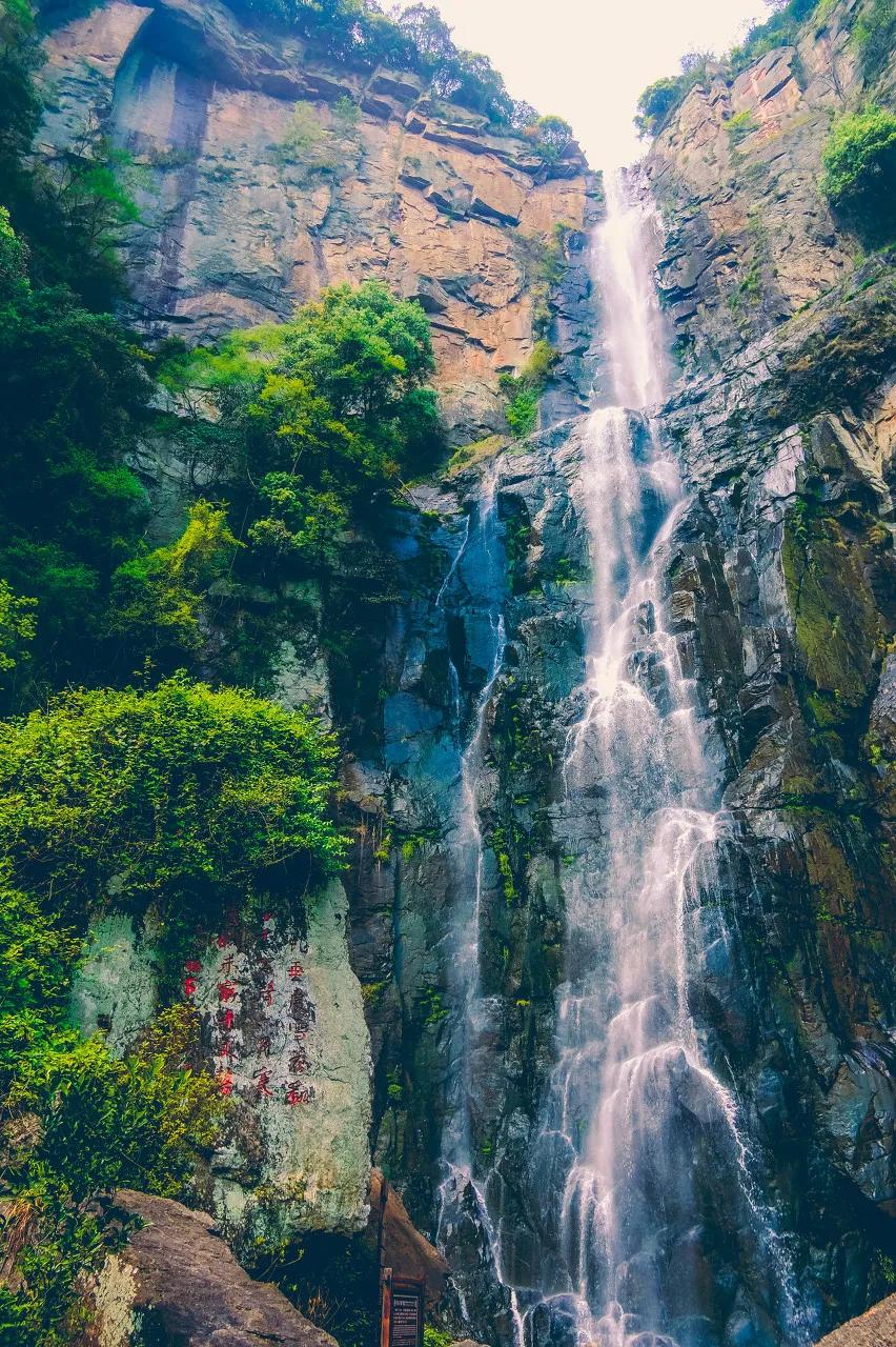 鐙傞浜烘皵鐜扮姸,浜烘皵鐙傞