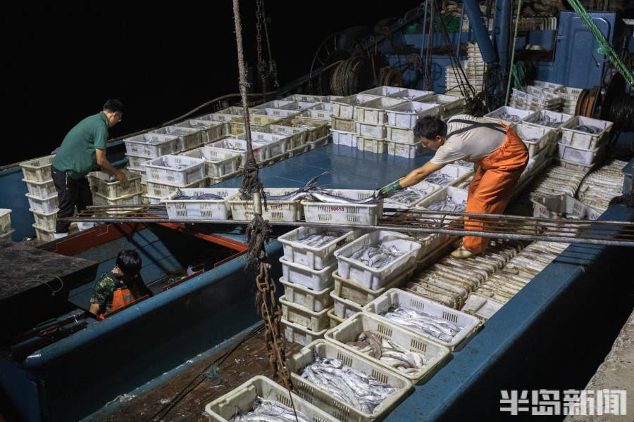 一线观察直击现场,一线记者直击