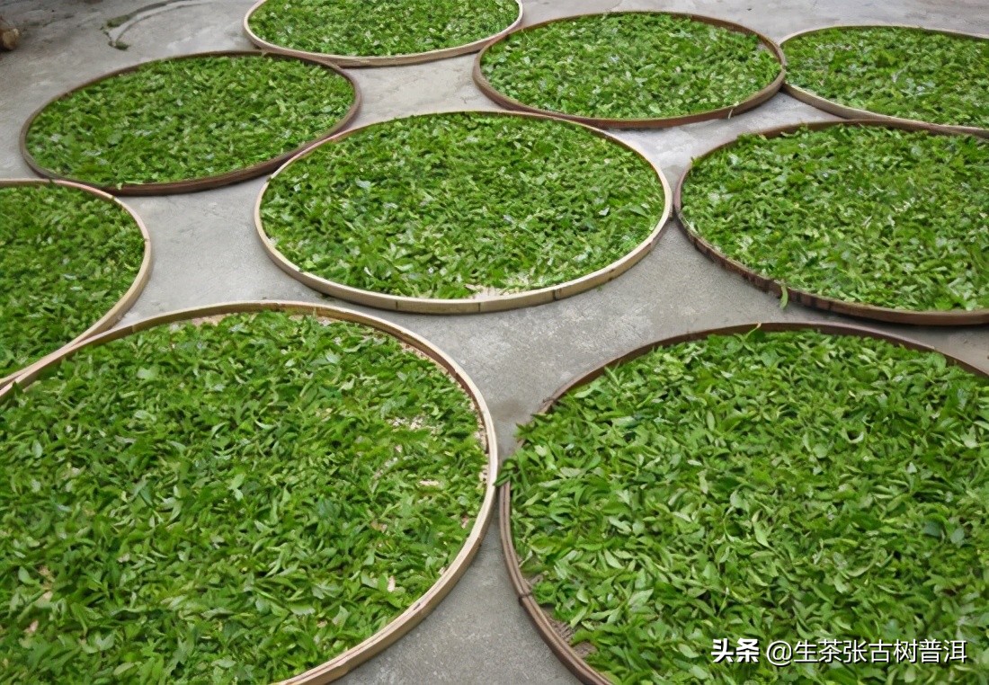 新手选茶6个小技巧,选购茶叶小知识