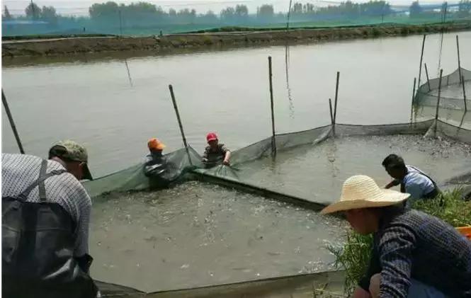 总碱度和总硬度是什么,总碱度与总硬度与ph值的关系