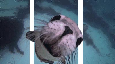 苏州太湖花海主题公园,太湖花海游乐场