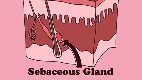 最简单的方法可以快速祛除痘印,如何有效且健康的祛除痘印