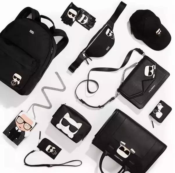 老佛爷的猫继承多少遗产,老佛爷去世了猫继承了多少遗产