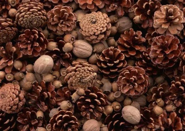 家庭精油推荐,家庭常备十种精油