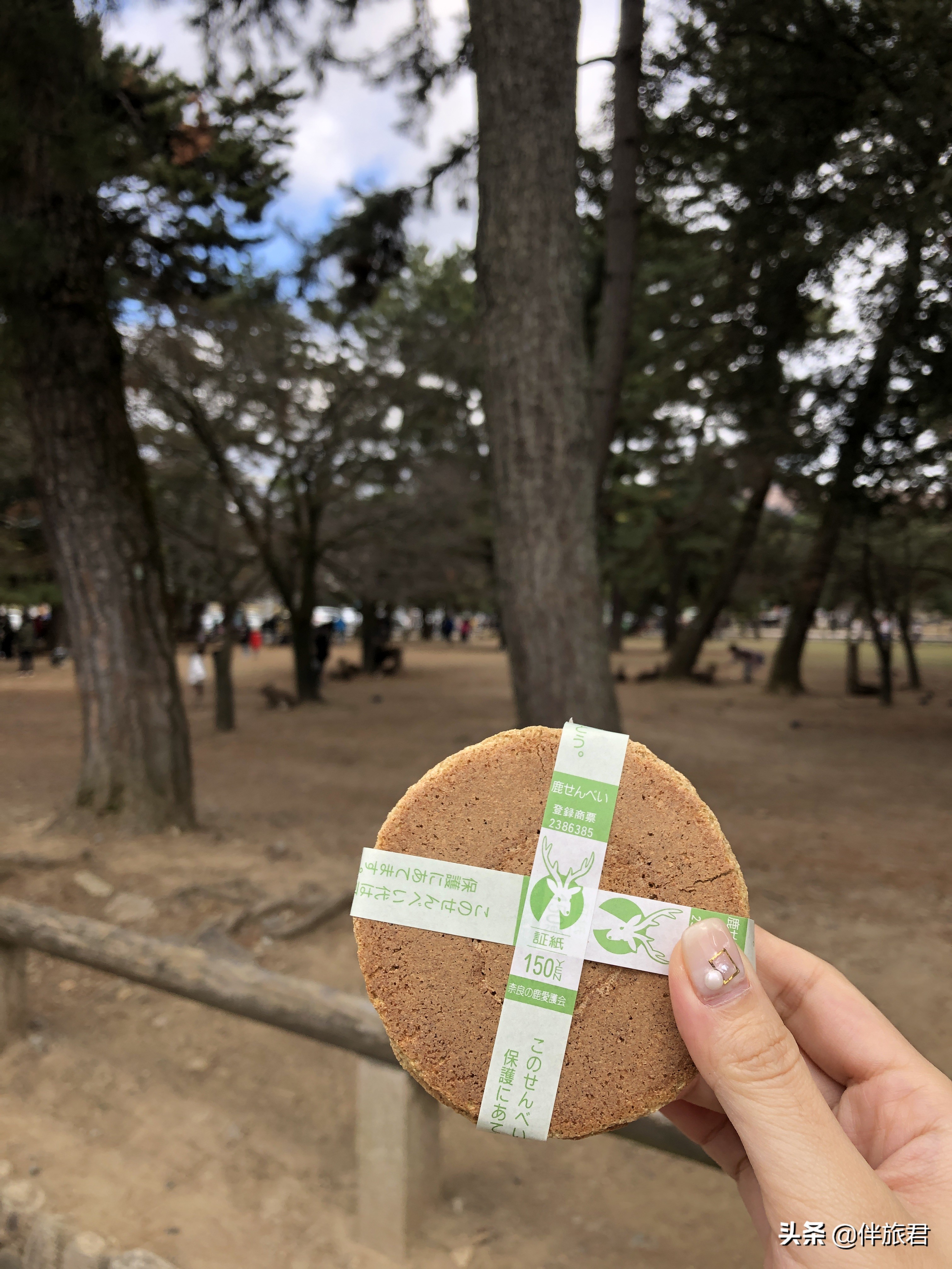 中国游客减少网友评论,中国游客逐渐减少日本旅游业