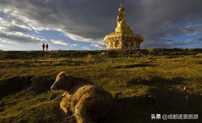 西藏女儿国亚青寺,藏地女儿国亚青寺图片