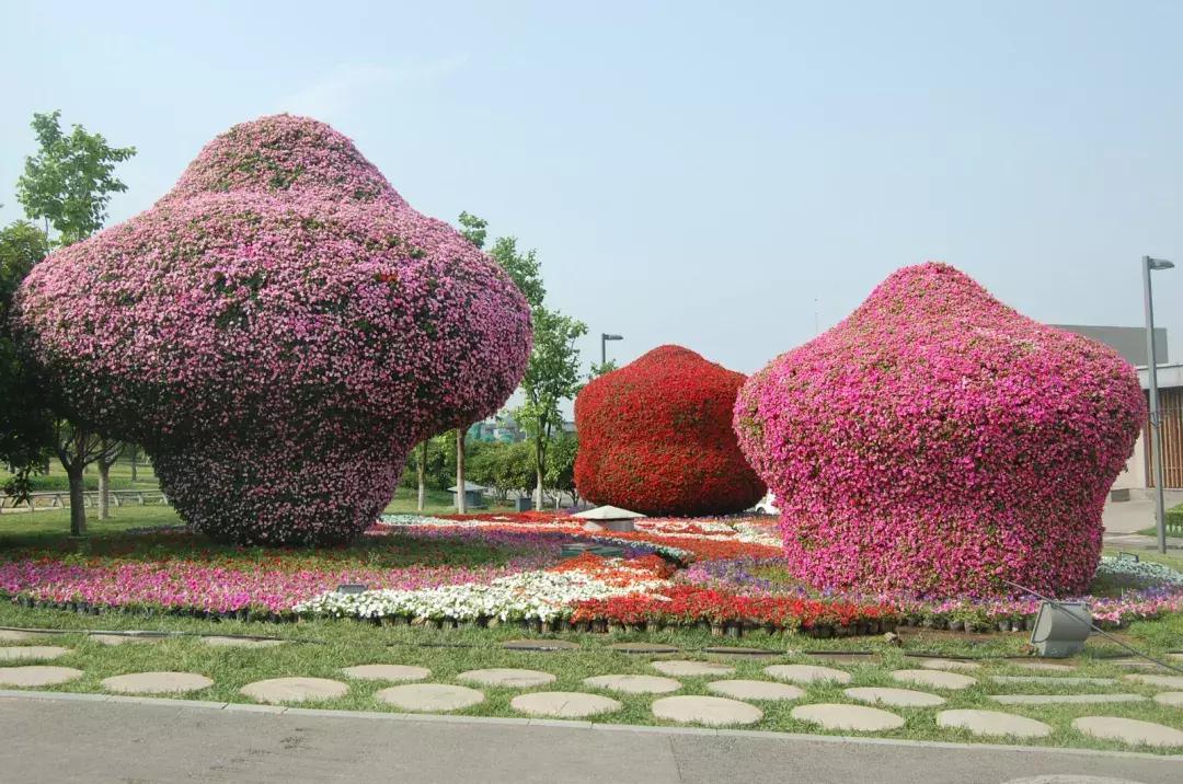 央视新闻直播西安夜景,央视直播西安奥体中心