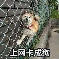 哪个宽带最垃圾,最差宽带盘点