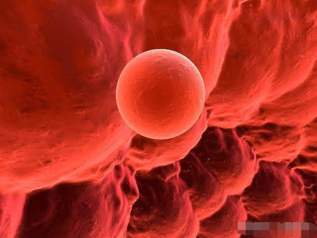 女性排卵时有什么感觉吗,彩超检测排卵怎么知道卵子已排出