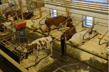 北活游记|来源于自然的食物，都比想象中的更美味，比如芬兰